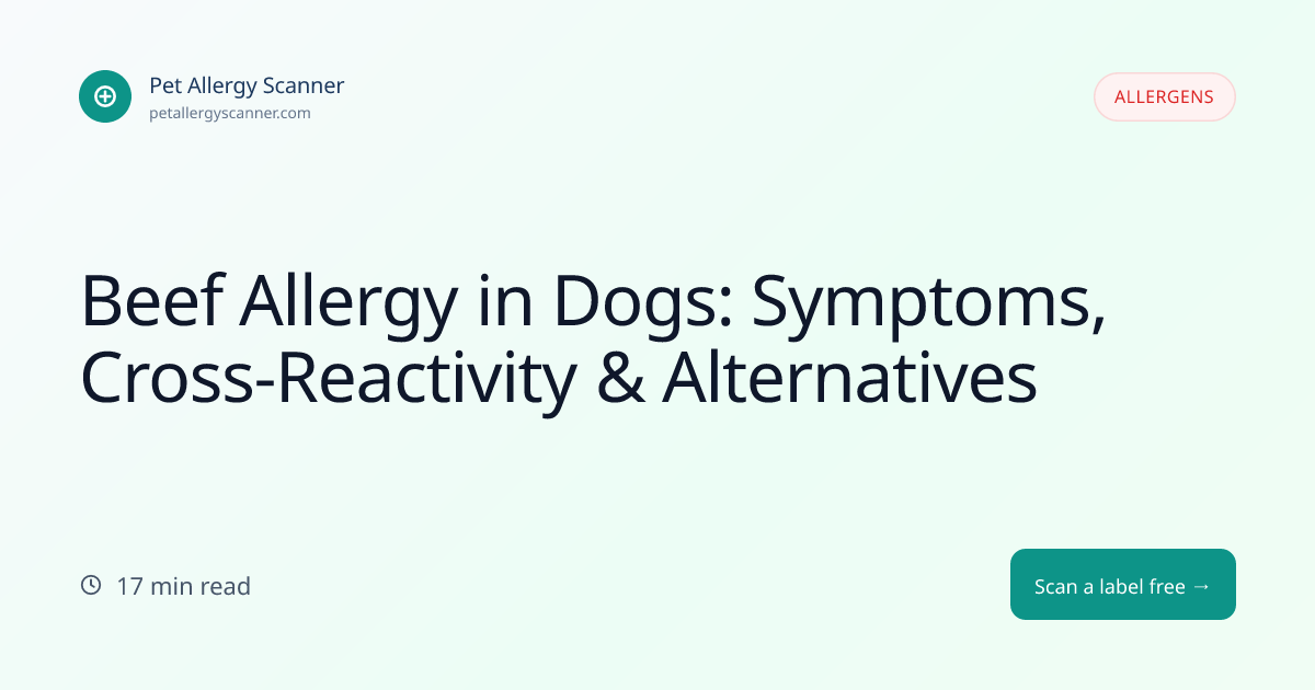 Cross Reactive Allergies In Small Breeds Reference: Beef Allergy In Dogs Symptoms Cross Reactivity Alternatives