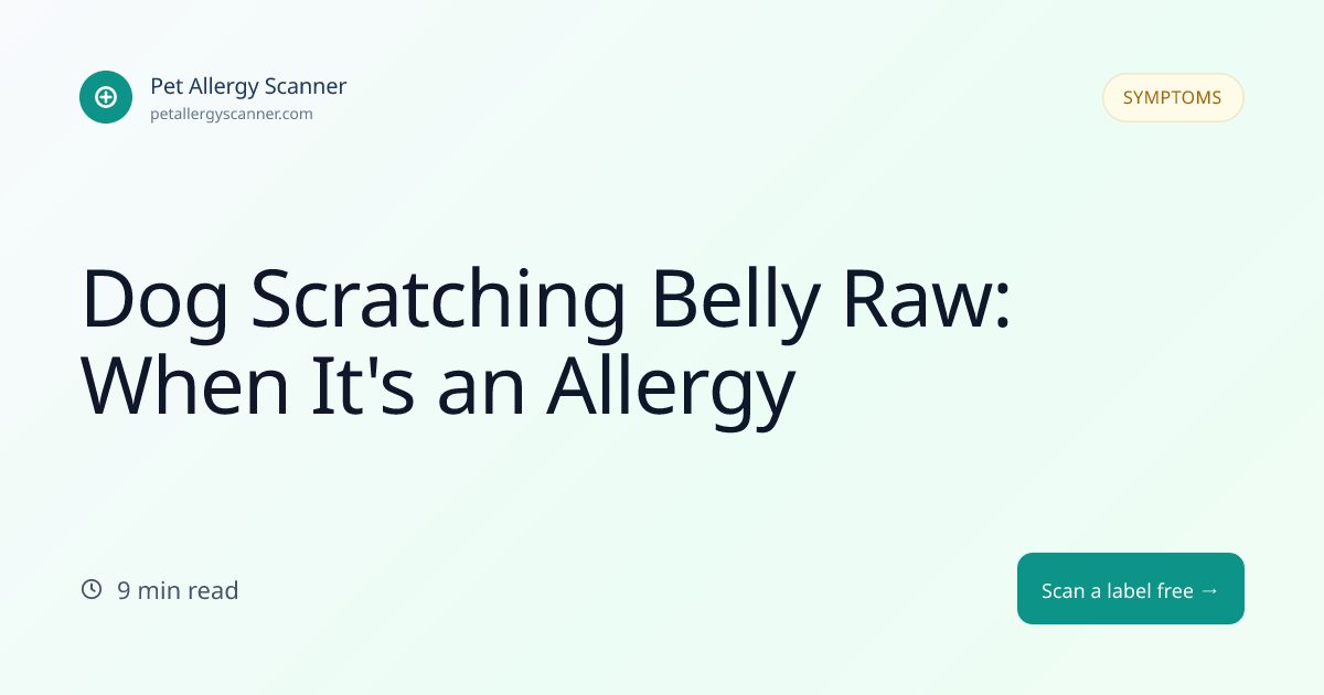 Dog Scratching Belly Raw: When It's an Allergy | Pet Allergy Scanner